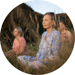 The art of silence meditation, mudras, and pranayamas for mental clarity