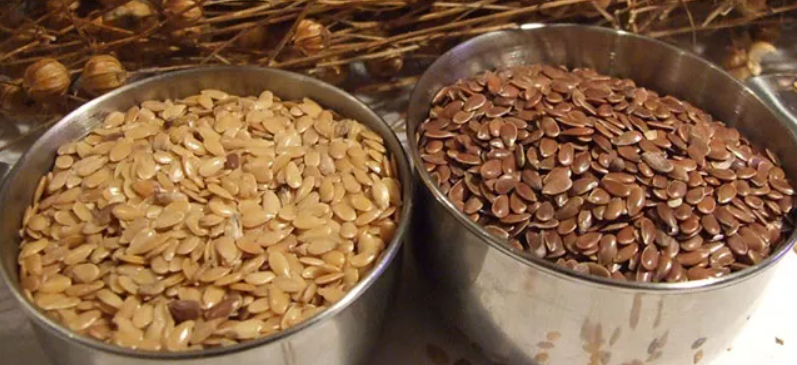 Health Benefits of Flax Seeds