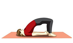 Setu Bandhanasana (Bridge pose) Detoxifaction Yoga Sequence
