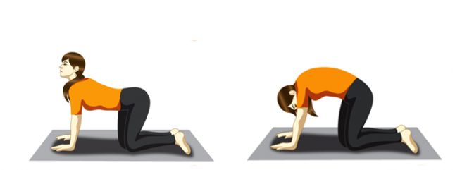 Yoga For Sleep