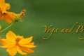 Yoga for Pregnant Women | Yoga and Pregnancy