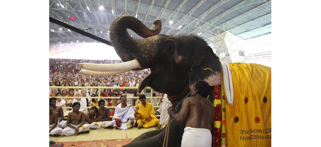 Navratri celebration in hindi